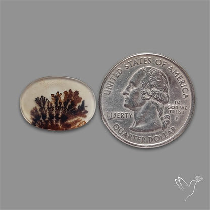 Scenic Agate Cabochon