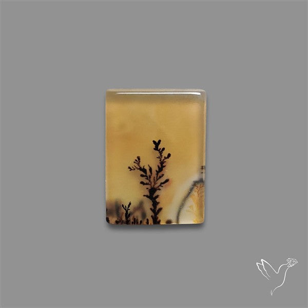 Scenic Agate Cabochon
