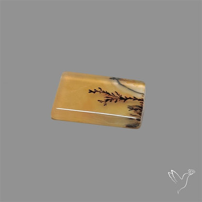 Scenic Agate Cabochon