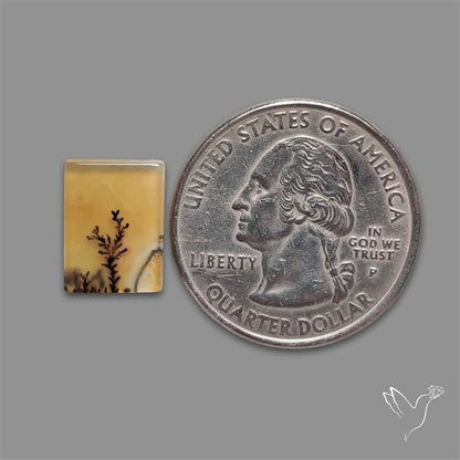 Scenic Agate Cabochon