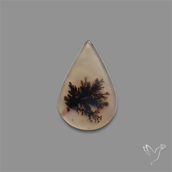 Scenic Agate Cabochon