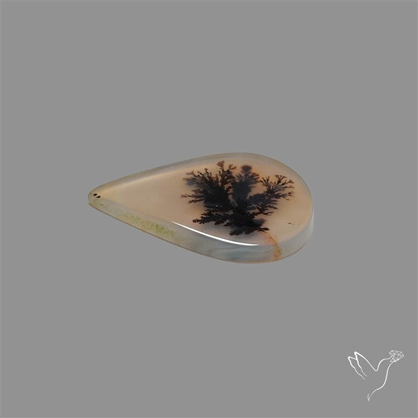 Scenic Agate Cabochon