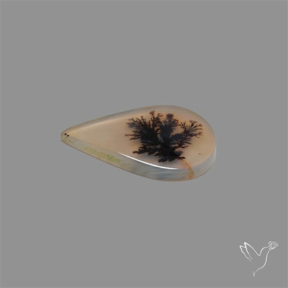 Scenic Agate Cabochon