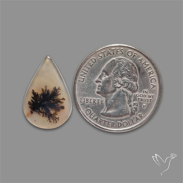 Scenic Agate Cabochon