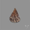 Scenic Agate Cabochon