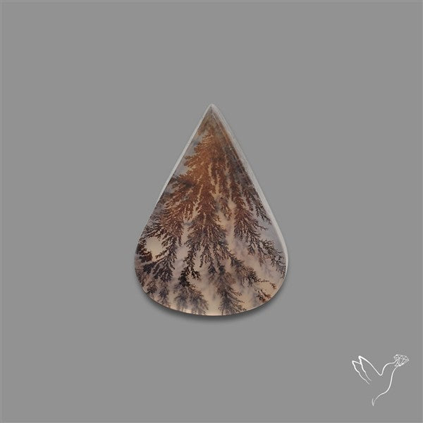 Scenic Agate Cabochon
