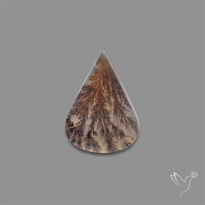 Scenic Agate Cabochon