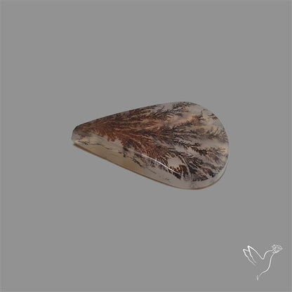 Scenic Agate Cabochon