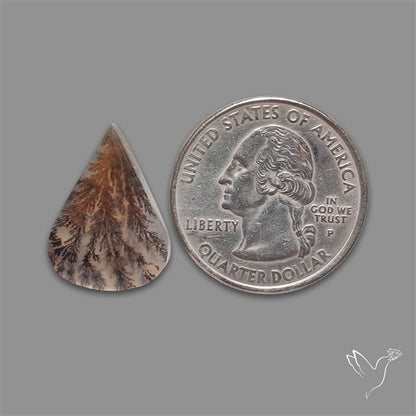 Scenic Agate Cabochon