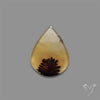 Scenic Agate Cabochon