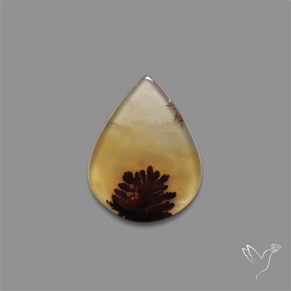 Scenic Agate Cabochon