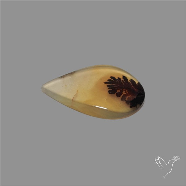 Scenic Agate Cabochon