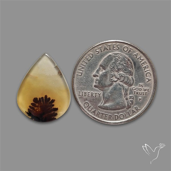 Scenic Agate Cabochon