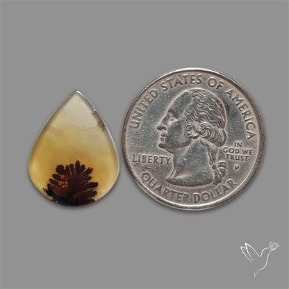Scenic Agate Cabochon