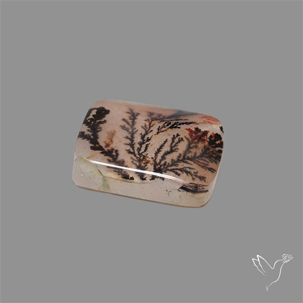 Scenic Agate Cabochon