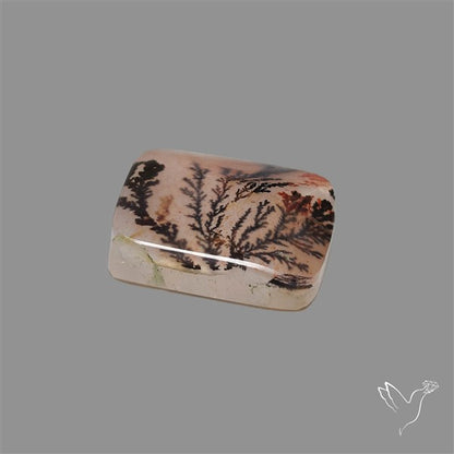 Scenic Agate Cabochon