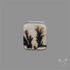 Scenic Agate Cabochon