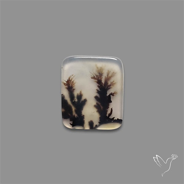 Scenic Agate Cabochon