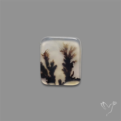 Scenic Agate Cabochon