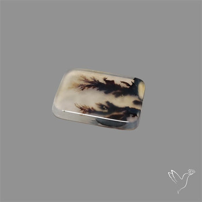 Scenic Agate Cabochon