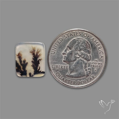 Scenic Agate Cabochon