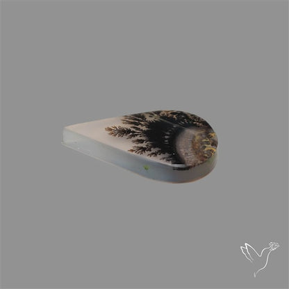Scenic Agate Cabochon