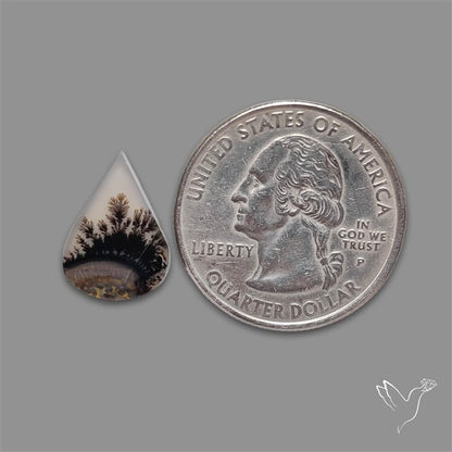 Scenic Agate Cabochon