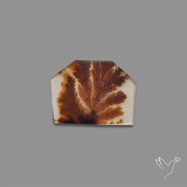 Scenic Agate Cabochon