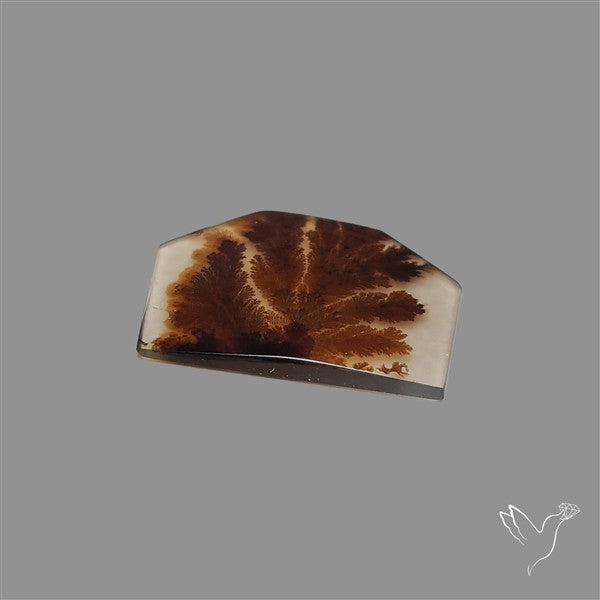 Scenic Agate Cabochon