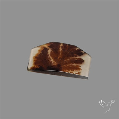 Scenic Agate Cabochon