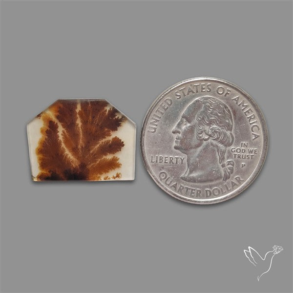 Scenic Agate Cabochon