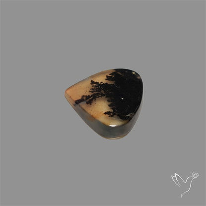 Scenic Agate Cabochon