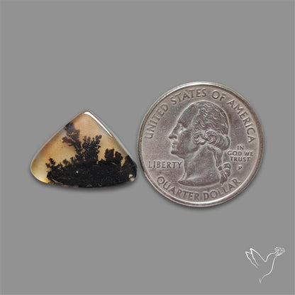 Scenic Agate Cabochon