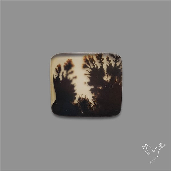 Scenic Agate Cabochon