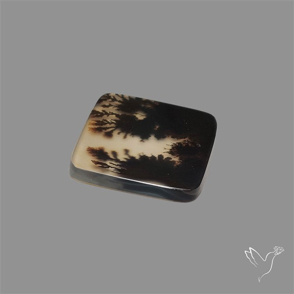 Scenic Agate Cabochon