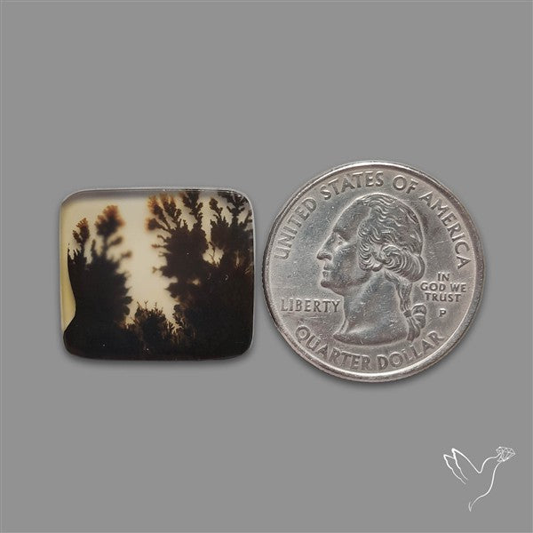 Scenic Agate Cabochon