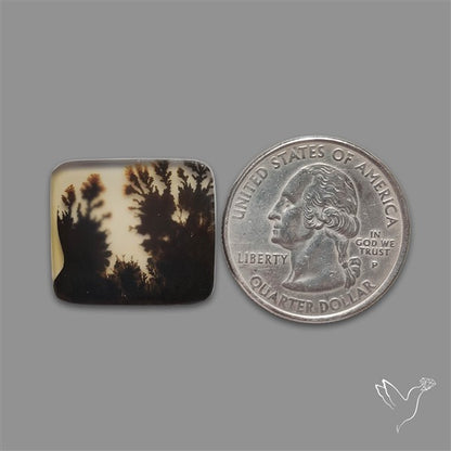 Scenic Agate Cabochon