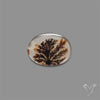 Scenic Agate Cabochon