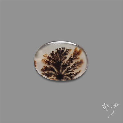 Scenic Agate Cabochon