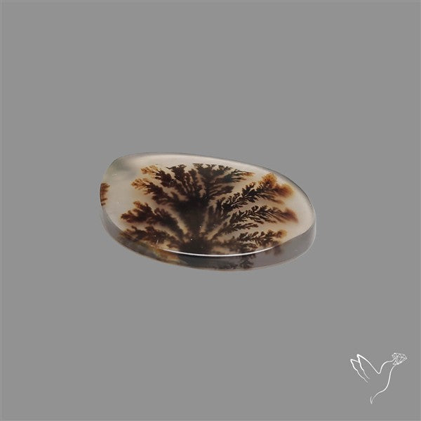 Scenic Agate Cabochon