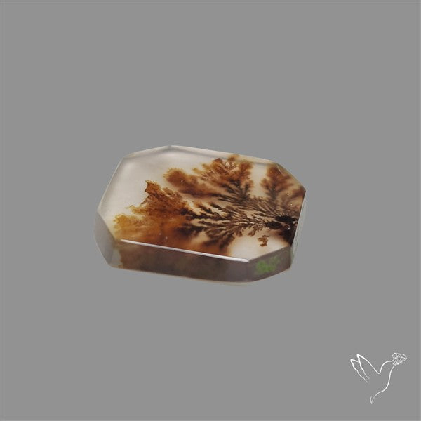 Scenic Agate Cabochon