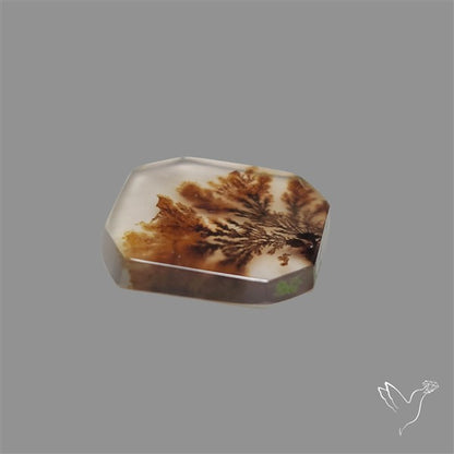 Scenic Agate Cabochon
