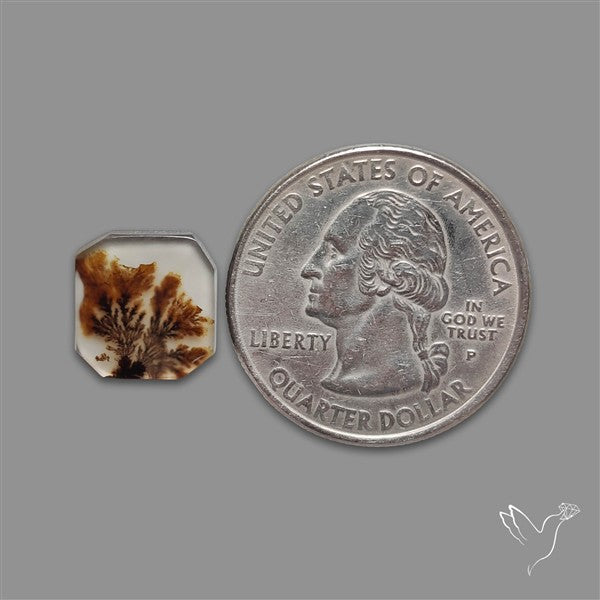 Scenic Agate Cabochon