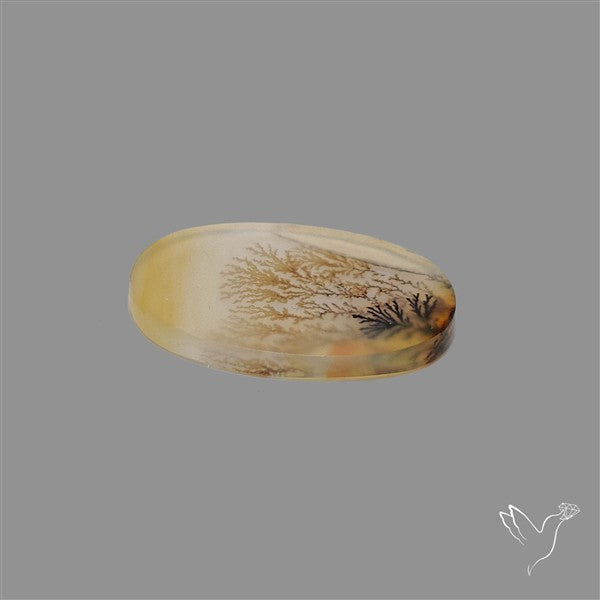 Scenic Agate Cabochon