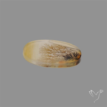 Scenic Agate Cabochon