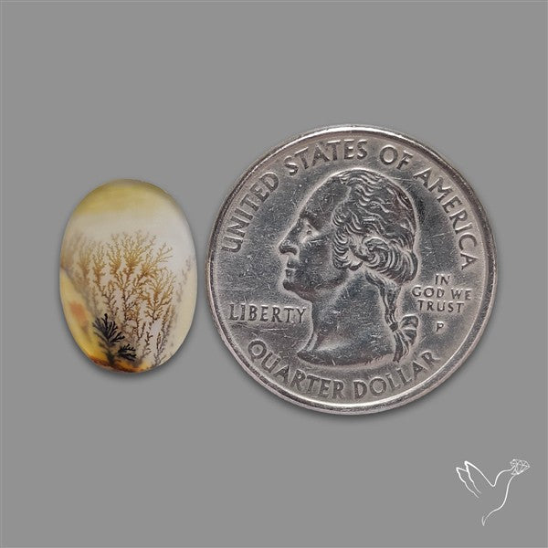 Scenic Agate Cabochon