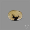 Scenic Agate Cabochon