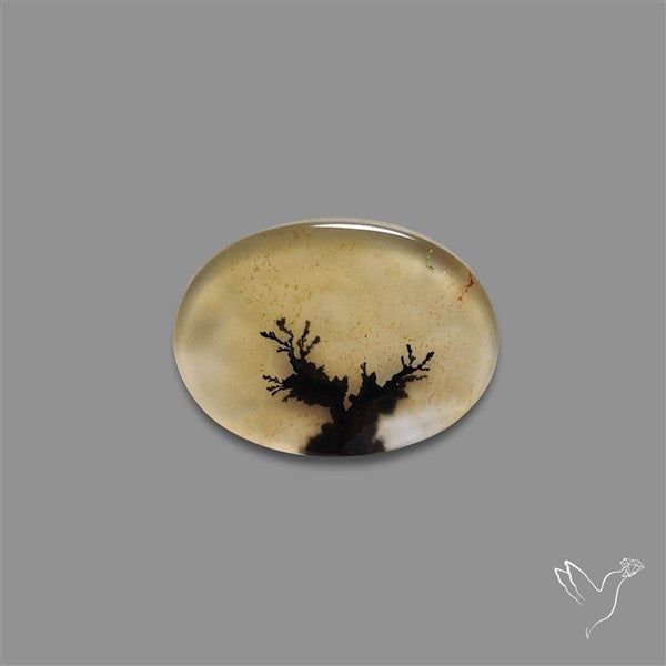 Scenic Agate Cabochon