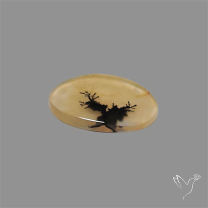 Scenic Agate Cabochon