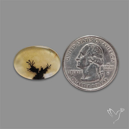 Scenic Agate Cabochon